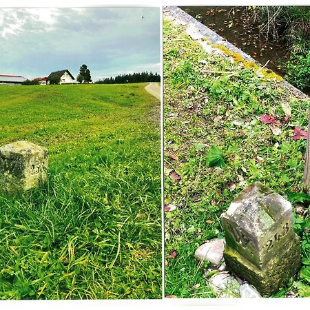 Uebernachtungsmoeglichkeit In Maierhoefen Grunenbach Dış mekan fotoğraf